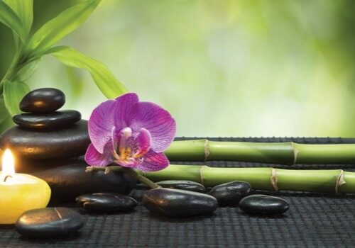 Bamboo-Massage.3d0db77c4002cf367aa6090ea852c7a7589